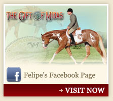 Felipe's Facebook Page