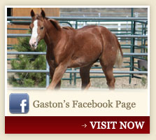 Gaston's Facebook Page
