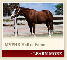 MVPHR Hall of Fame