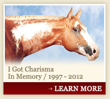 I Got Charisma - In Memory / 1997 - 2012