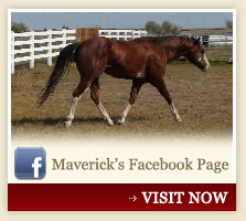 Maverick's Facebook Page