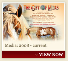 Media: 2008 - current