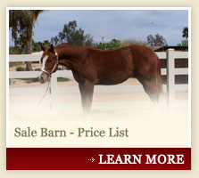 Sale Barn - Price List