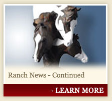 Ranch News - Continued