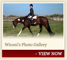 Wiconi's Photo Gallery